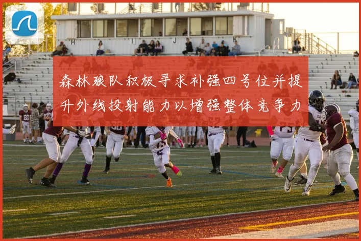 森林狼队积极寻求补强四号位并提升外线投射能力以增强整体竞争力
